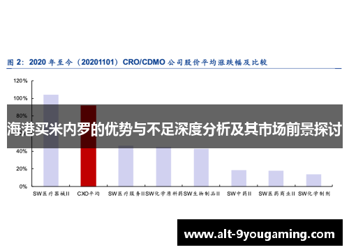海港买米内罗的优势与不足深度分析及其市场前景探讨