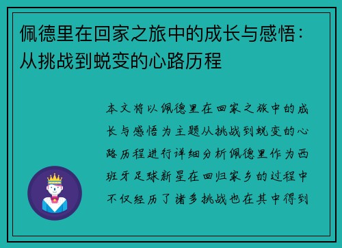 佩德里在回家之旅中的成长与感悟：从挑战到蜕变的心路历程