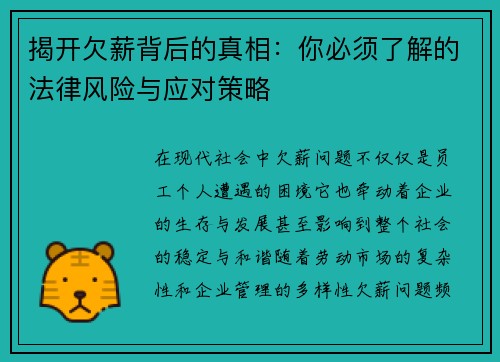 揭开欠薪背后的真相：你必须了解的法律风险与应对策略