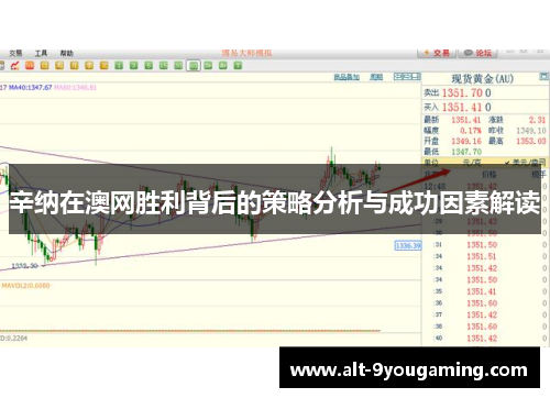 辛纳在澳网胜利背后的策略分析与成功因素解读