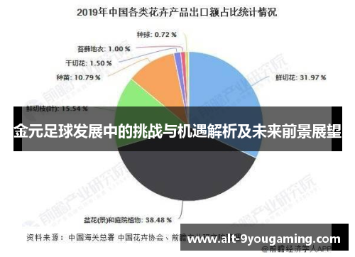 金元足球发展中的挑战与机遇解析及未来前景展望