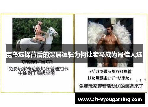 魔鸟选择背后的深层逻辑为何让老马成为最佳人选